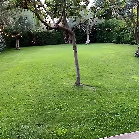 Rooftop Pool, Private Garden, At The Beach! * アンティーブ